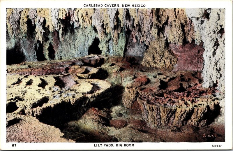 Big Room Lily Pads Carlsbad Caverns National Park New Mexico WB Postcard 