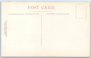 c1910s Mice Drive Midhurst, England Forest Road Path Tall Trees A364