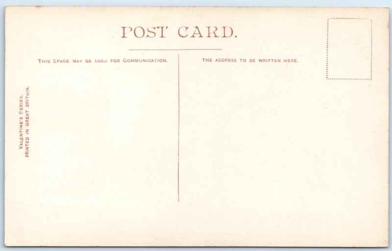 c1910s Mice Drive Midhurst, England Forest Road Path Tall Trees A364