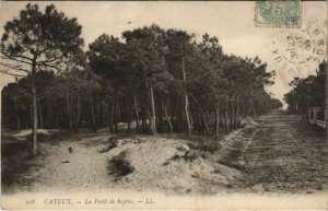 CPA CAYEUX-sur-MER La Foret de Sapins (808056)