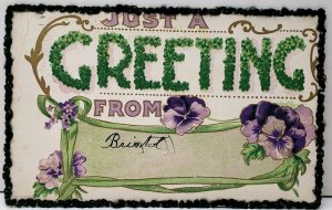 Greetings from Bristol Vermont Yarn Accents Embossed 1913 Postcard F2