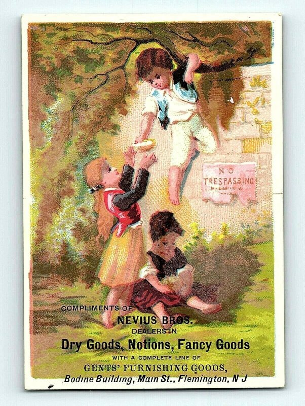 1880's-90's Nevius Bros. Dry & Fancy Goods Notions  Children Brick Wall P156