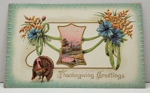 Thanksgiving Greetings Embossed Turkey Flowers 1912 Ohio Postcard G15