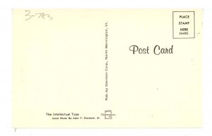 Dogs - Intellectual Collie