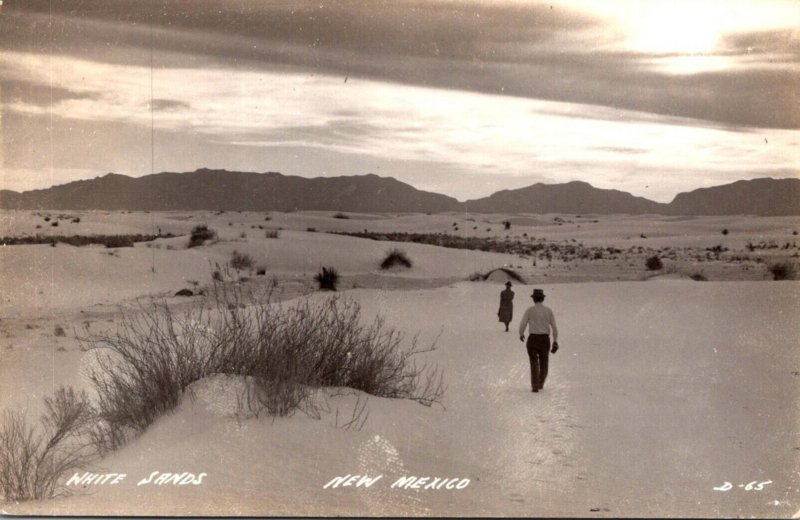 New Mexico White Sands Real Photo