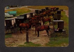 PA Amish Dutch Country Market Horse and & Buggy Pennsylvania Postcard