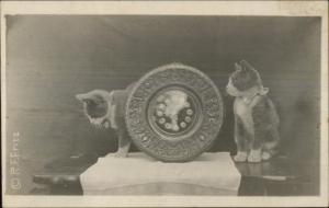 Kittens - Kitty Cats & Wood Carved Old Clock c1910 Real Photo Postcard #2