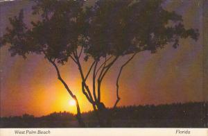 Beautiful Backwater Sunset West Palm Beach Florida