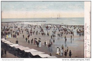 New Jersey Atlantic City Beach From Steel Pier 1905