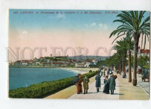 3129647 France CANNES Promenade de la Croisette Vintage PC