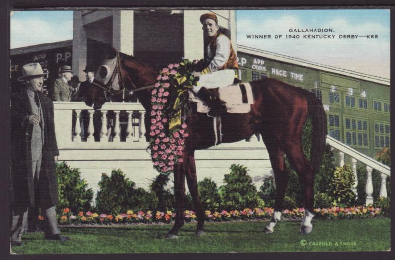 Gallahadion,1940 Kentucky Derby Winner Postcard
