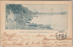 Owego NY 1904 River View Near Ross Str Small Boats to Brooklyn PMC Postcard T17