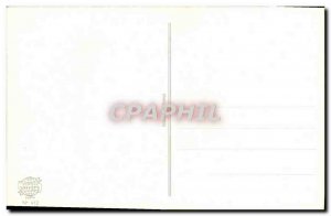 Old Postcard Fantasy Flowers Butterfly Cat Kitten