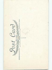 Divided-Back VALENTINE DAY SCENE Great Postcard W7890