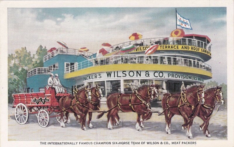 Illinois Chicago World's Fair Six Horse Team Wilson & Co Meat Packers sk5987