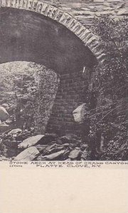 New York Plattie Clove Stone Arch At Head Of Grand Canyon Albertype