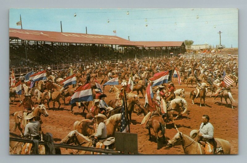 Grand Entry Texas Cowboy Reunion Stamford Texas Amateur Rodeo Vintage Postcard