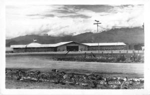 New Guinea Scenic View Farm Real Photo Antique Postcard J49760