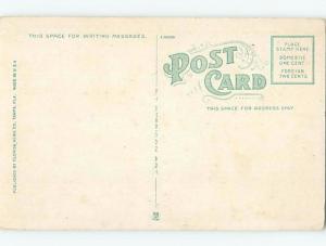 W-Border MAAS BROTHERS STORE & HOTEL & CITIZENS BANK BUILDING Tampa FL F9033