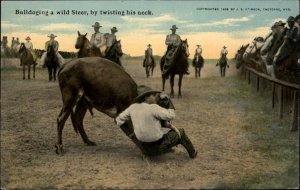 Cowboy Bulldoging Wild Steer RODEO OLD WEST c1910 Postcard