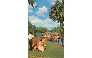 Glass Bottom Boats Florida's Family Attraction