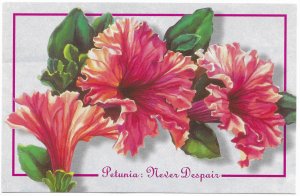 US Petunia: Never Despair drawing. Mint. Harlequin 1995. Nice.