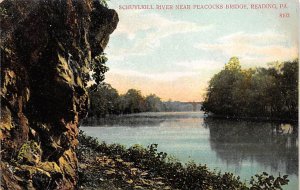 Schuylkill River near Peacocks Bridge Reading, Pennsylvania PA