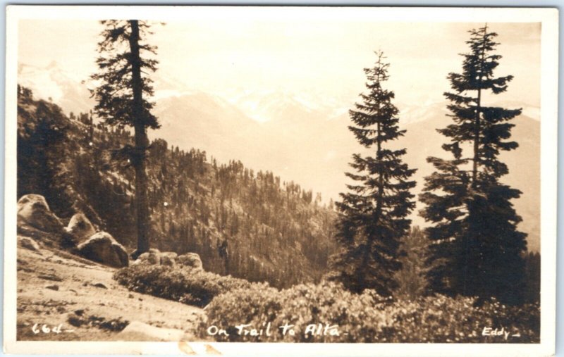 c1920s Alta Meadow, Sequoia National Park CA RPPC Trail Real Photo Postcard A135