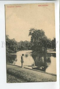 432764 Singapore Botanical Garden native man Vintage postcard