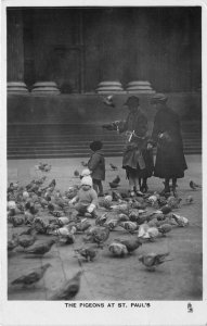 uk41432 pigeons at st pauls london real photo  uk