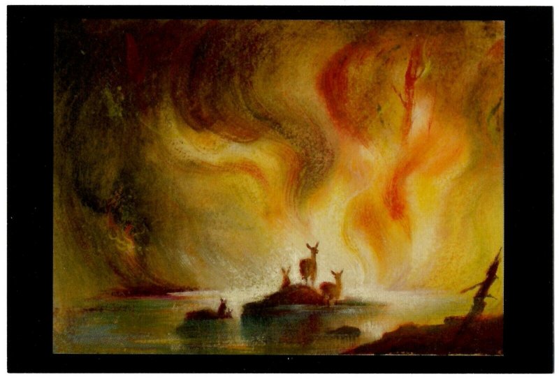 Disney Bambi Forest Fire - Concept Art by Tyrus Wong Postcard