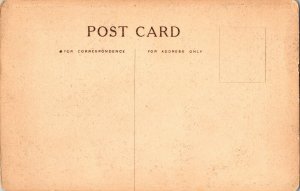 Road Through The Pines, Mount Hermon, MA Vintage Postcard K50