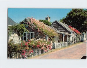 Postcard Typical rose-covered cottages, Nantucket Island, Nantucket, MA