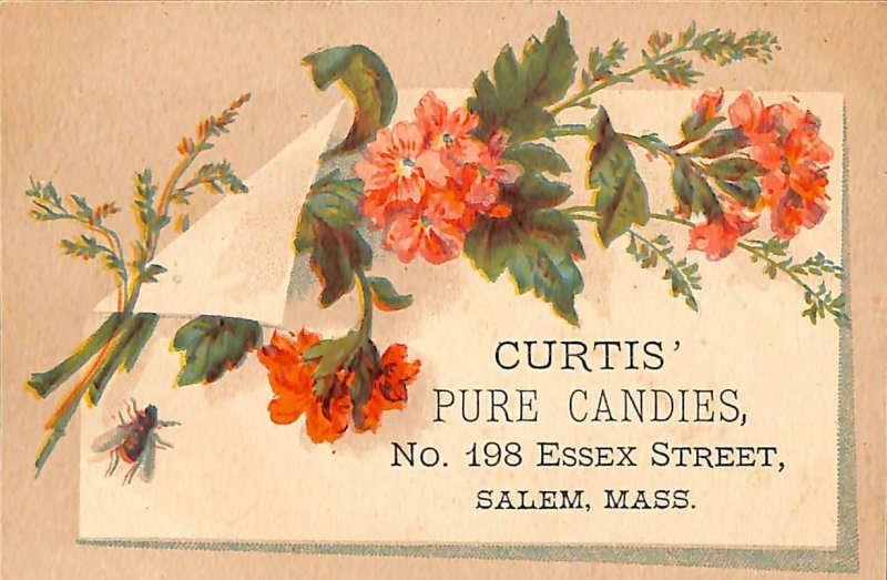 1880s Curtis Pure Candies F Salem MA P33 