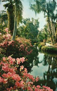 Vintage Postcard Lovely Lagoons Surrounded By Thousands Of Tropical Blooms FL