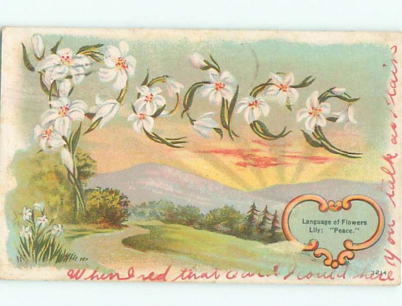 c1910 Language Of Flowers PEACE - SPELLED IN LILY FLOWERS AC5017