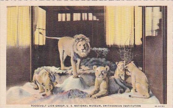 Roosevelt Lion Group U S National Museum Smithsonian Institution Curteich