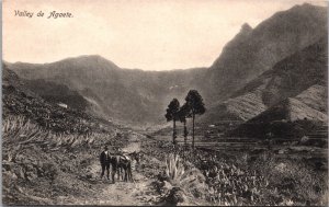 Spain Valle de Agaete Gran Canaria Vintage Postcard 09.35