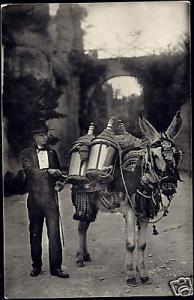 spain, GRANADA, Aguador, Water Seller, Donkey 40s RPPC