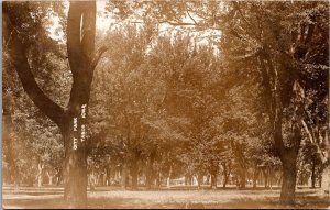 RPPC View in the City Park, Tabor IA Vintage Postcard X51