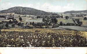 Catskill Mountains in Stamford, New York