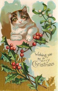 Embossed Christmas Postcard Xmas Cat Tabby and White Cat Looks Happy