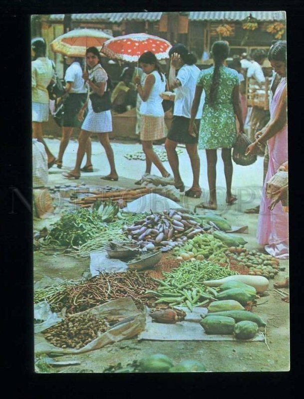 210043 SRI LANKA Wayside market place village Damsels postcard