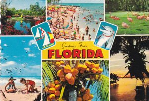 Greetings From Florida Multi View