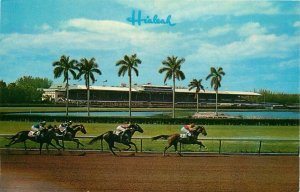 c1950s Hialeah Racecourse - Miami, Florida • Horse Race - Vintage Postcard