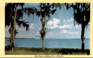 Florida Leesburg View Of Lake Harris Dexter Press