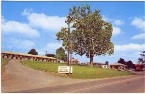 Brentwood TN Sycamore Court Restaurant Old Cars Vintage Postcard