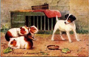 Guinea Pigs and Puppy, Friendly Advances Tucks 9436 Farm Friends Postcard X52