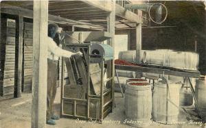 c1910 Postcard; Cape Cod Cranberry Press Interior Screen House Industry MA