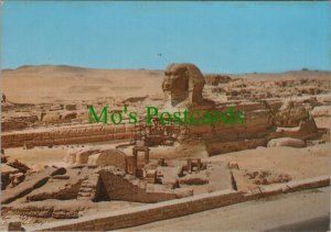 Egypt Postcard - Giza - The Great Sphinx    RRR1117